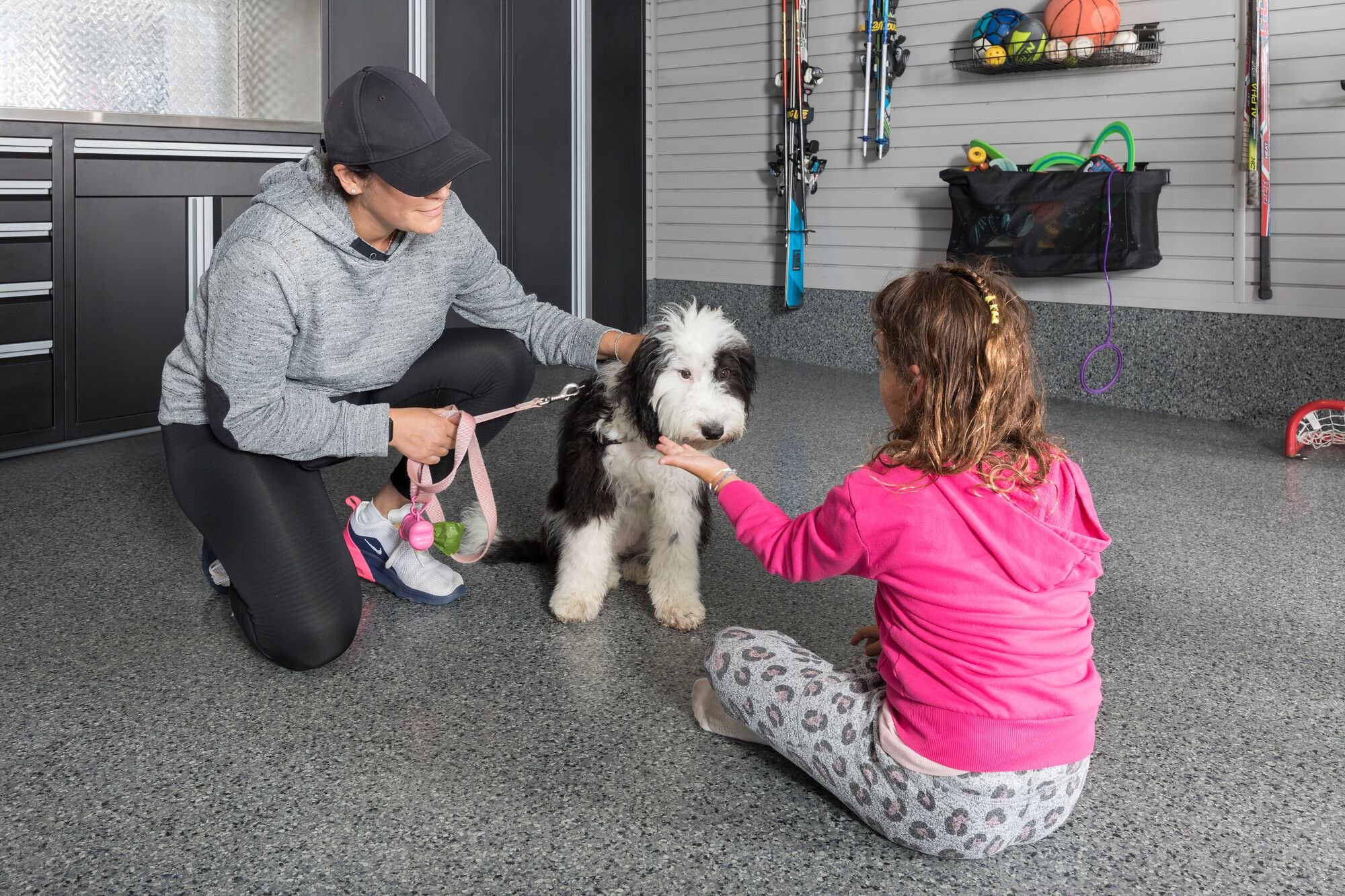 Illustration of Preparing Your Dog Introduction To Necessary Permissions For Under Garage